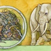 «Natur und Tier Illustrationen» von Sara Otterstätter