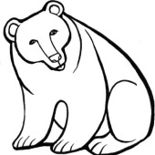 «Tiere für SOS-Kinderdörfer» von Sara Otterstätter