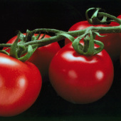 “Red © Judith von Ortenberg” from Judith von Ortenberg