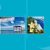 “Diplomarbeit” from BookDesigns @ Zeuner Publishing