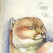 «Taxidermie Skizzen» von Sara Otterstätter