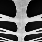 «Querschnitt» de Johannes Beschoner