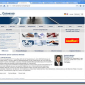 «Consenso-Consulting» de Database-Management