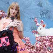 “Petit” from Silja Knodel/Grzegorzewski