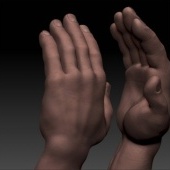 «wild WIP mix» von Ben Crunch