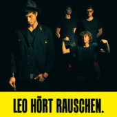 “Leo Hört Rauschen. 2010” from nettue.de