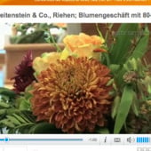 “Imagefilm: Blumen Breitenstein & Co., Riehen” from Johannes Lortz