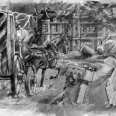 «The Havering Adventures» von Sara Otterstätter