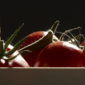 «food» von P2010 Photographie&Mehr