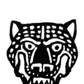 «Bagan – Die Jagd durch den Dschungel» von Sara Otterstätter