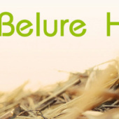 “Logos” from Rene Schmidt