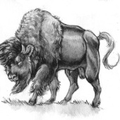 «Illustration für ein Cowboybilderbuch» von Sara Otterstätter