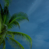 «Waiting to Be Known» de Rodolfo Ruffatti Batlle