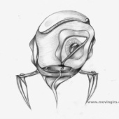 “Bleistiftzeichnungen” from Pierra Kayser