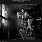 «Attribut?» von Thomas Brockmeyer-FOTOGRAFIE