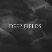 „deep fields“ von Benjamin Appel