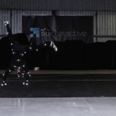 „Motion Capture“ von Studio SoInteractive