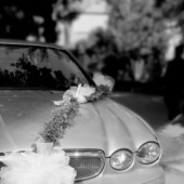 „Hochzeit-Fotografie“ von Nicole Lautner