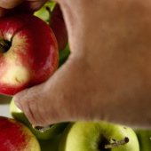 „Gesunde Ernährung für Gross und Klein“ von Messmer Christina