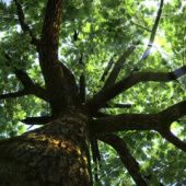 «3D-stills» de Konrad Haenel