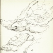 “illustration handmade” from Jan-hinnerk Irlenkaeuser