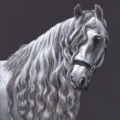 “Arts & Horses” from Nicole Zeug