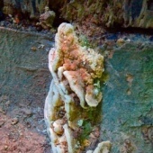 “Werke” from Gabriele Ruof