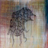 «hobbypilot» von Jasmin Stolle