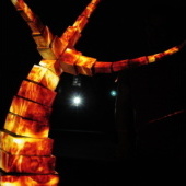 «Projection Mapping „Tree of Life“» de Andi Beka