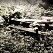 «natur» de Elsner/Krause fotografie