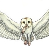 «Gefährliche Tiere» von Sara Otterstätter