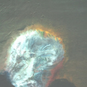 «Gesichter Köpfe» de Galerie LOT