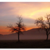 «Fotografie-Natur» von Esref Yilmaz