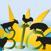 «BIO» von iloo-design