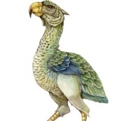 «Pathfinder – Animal Archive» von Sara Otterstätter