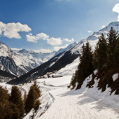 «Landschaft» de Julia Fromm