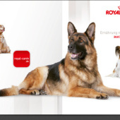 «Royal Canin · SHN Ageing Linie» de Moritz Ludwig