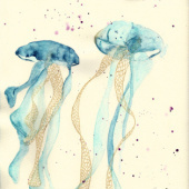 „jellyfishes“ von Jessie Fröde | Kommunikation