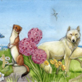 «Avati – Discovering Arctic Ecology» von Sara Otterstätter