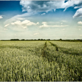 «Portfolio – Landscapes» de pixelblender photography & design