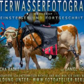 „Workshop UNTERWASSERFOTOGRAFIE“ von Fotoatelier Berlin