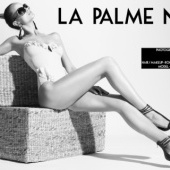 “La Palme Noir” from Ben Bernschneider