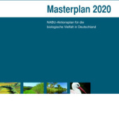«Materplan 2020» de Christine Kuchem