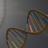 «Resistenz bei Tuberkulosebakterien» von Nora Gamper