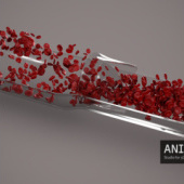 „3d animated blood flow – Windkessel effect“ von Anima Res