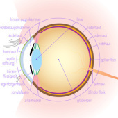 “Medizinische Illustrationen” from Sebastian Franz