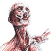 „Instant Anatomie“ von Hohmann Design und Text