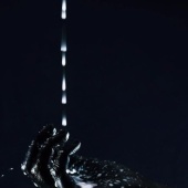 «Stills & Products» de PhotoART Allmaier