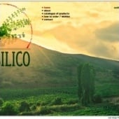 „Webseite des Unternehmens Basilico Trade“ von Korporal Webdesign