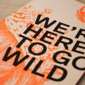 «Neue Monarchie Agenturzeitung» de Neue Monarchie